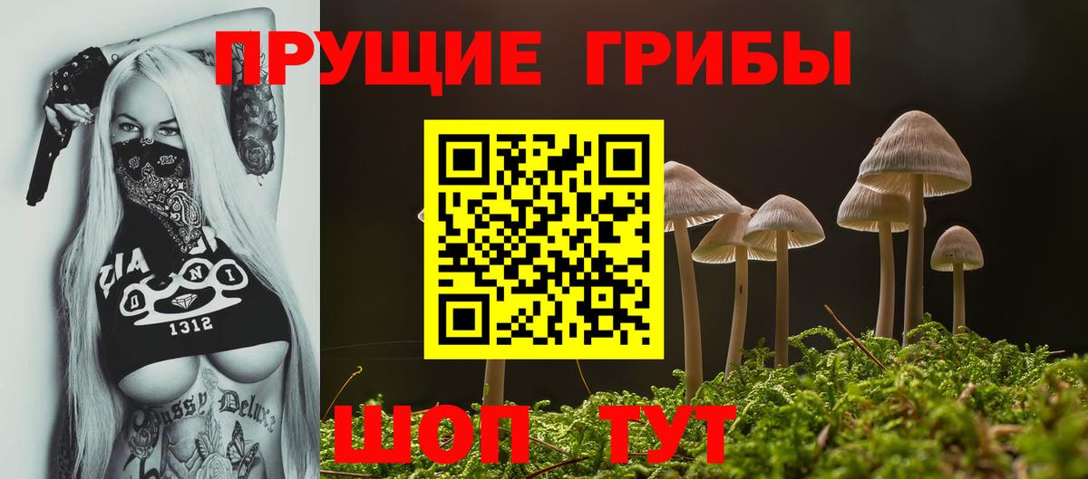 Псилоцибиновые грибы Cubensis Будённовск