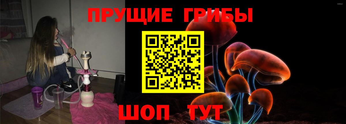 Псилоцибиновые грибы ЛСД  Вход с VPN  цены   Будённовск 